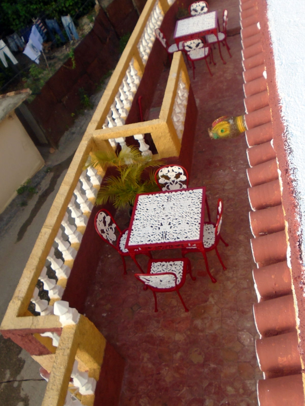DSC00490.jpg